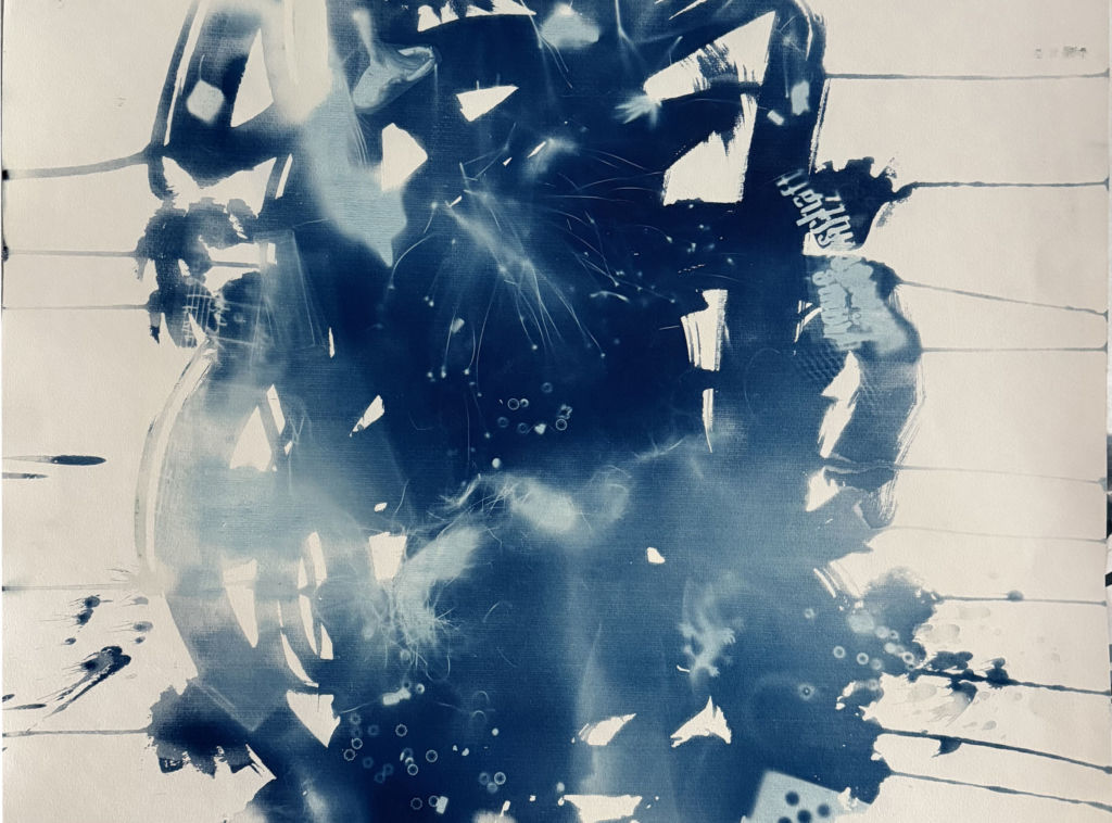 © Irmgard Hofmann-Cyanotypie